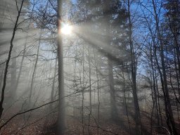 2024 Herbststimmung